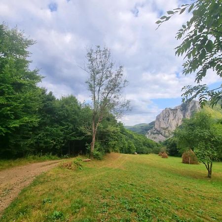 Casa Jax Hotel Rimeti Екстериор снимка